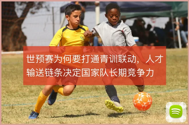 世预赛为何要打通青训联动，人才输送链条决定国家队长期竞争力