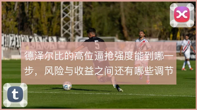 德泽尔比的高位逼抢强度能到哪一步,风险与收益之间还有哪些调节手段