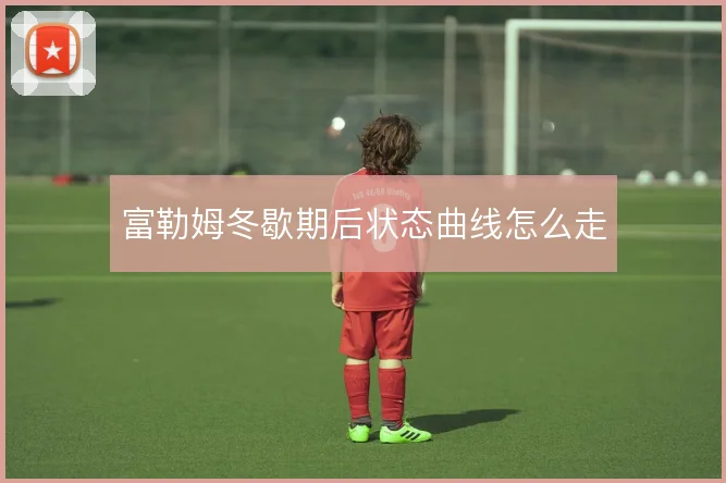 富勒姆冬歇期后状态曲线怎么走